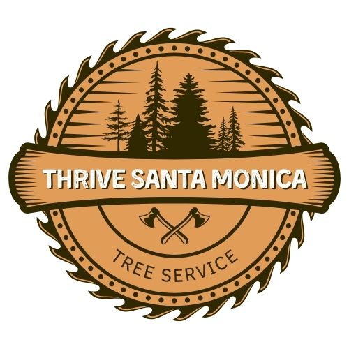 Thrive Santa Monica Tree Service logo